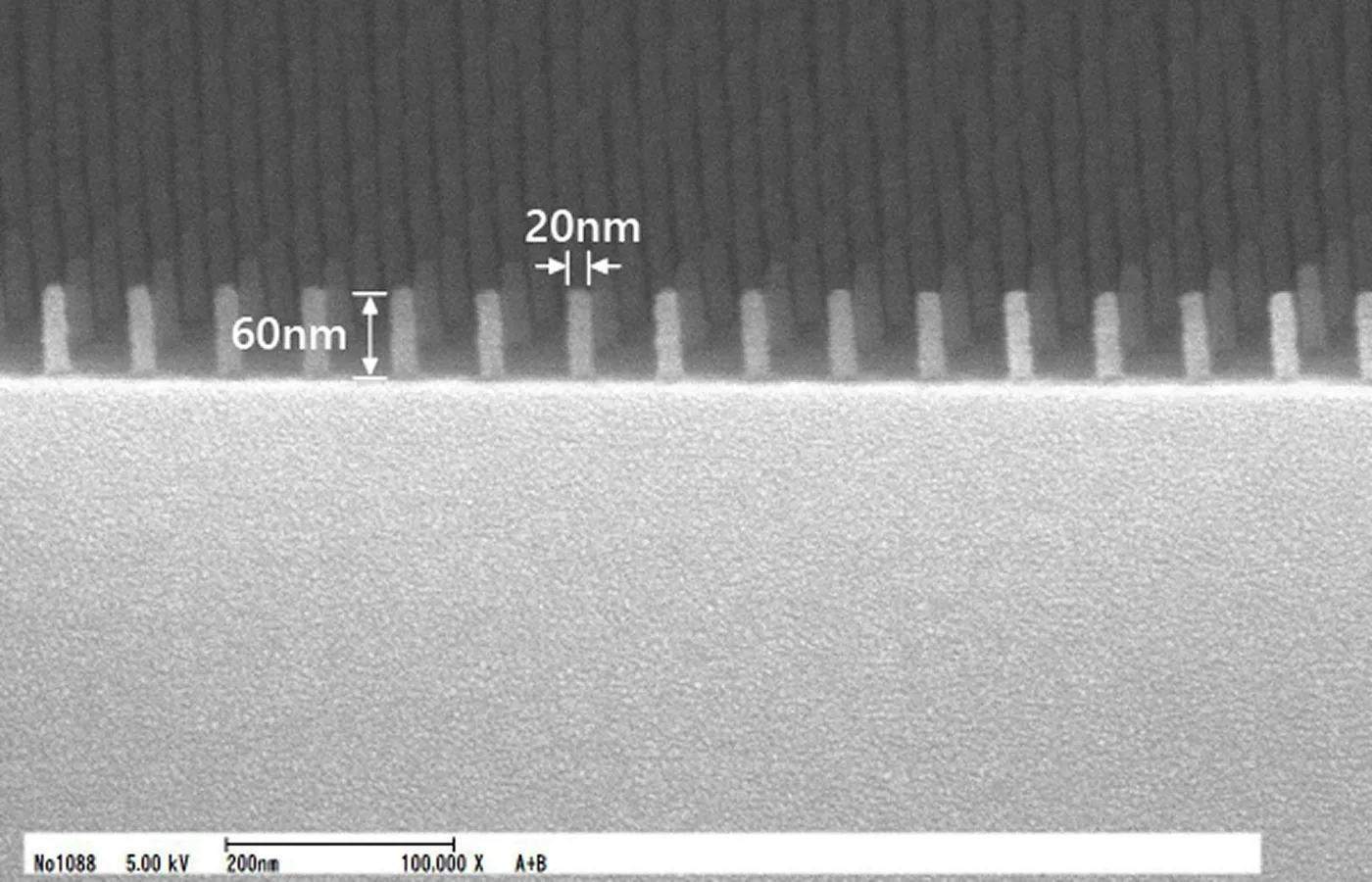 Φ20 nm、高さ60 nmのピラーパターン
