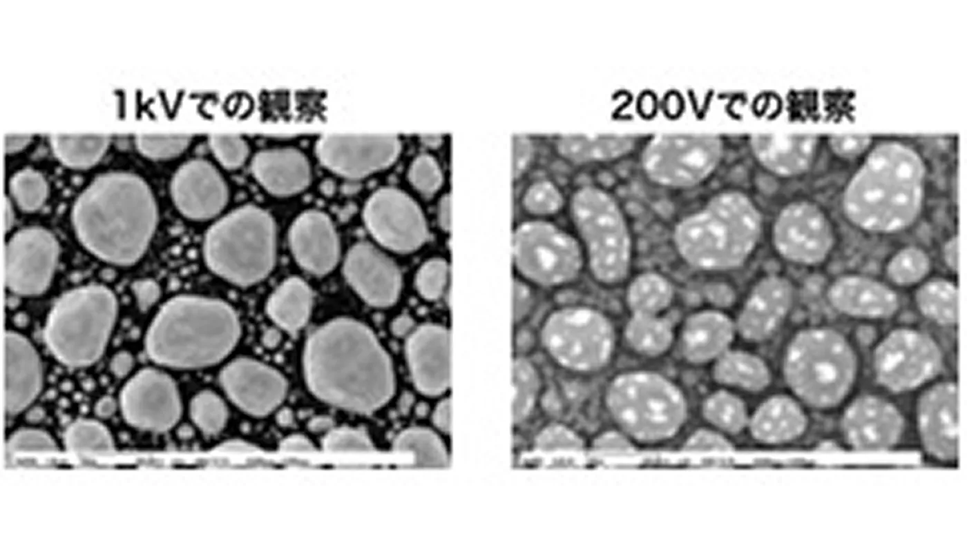 加速電圧による金粒子観察結果の比較（20万倍）